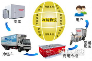 國內外聯動打造北方食品冷鏈物流集散中心，優化供應鏈管理服務